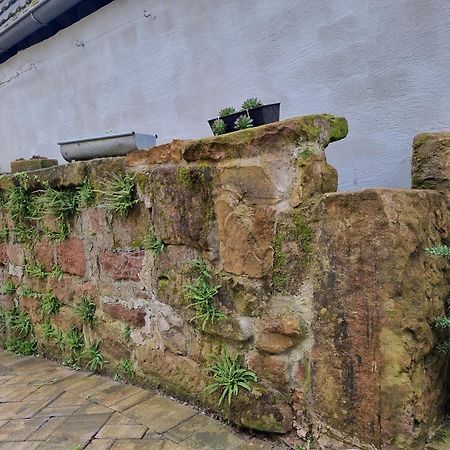 Villa Haus Ziegenblick Herbolzheim Esterno foto