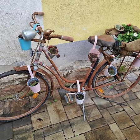 Villa Haus Ziegenblick Herbolzheim Esterno foto