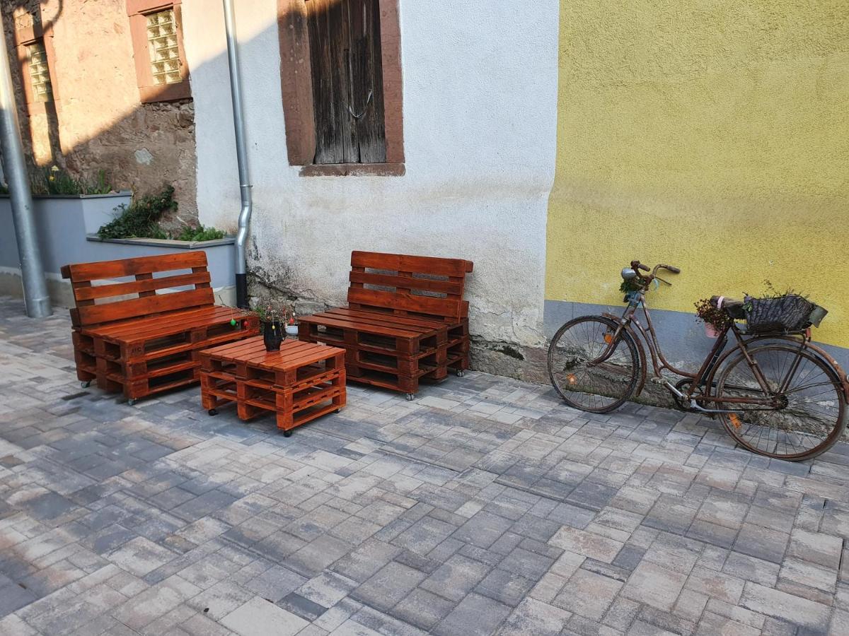 Villa Haus Ziegenblick Herbolzheim Esterno foto
