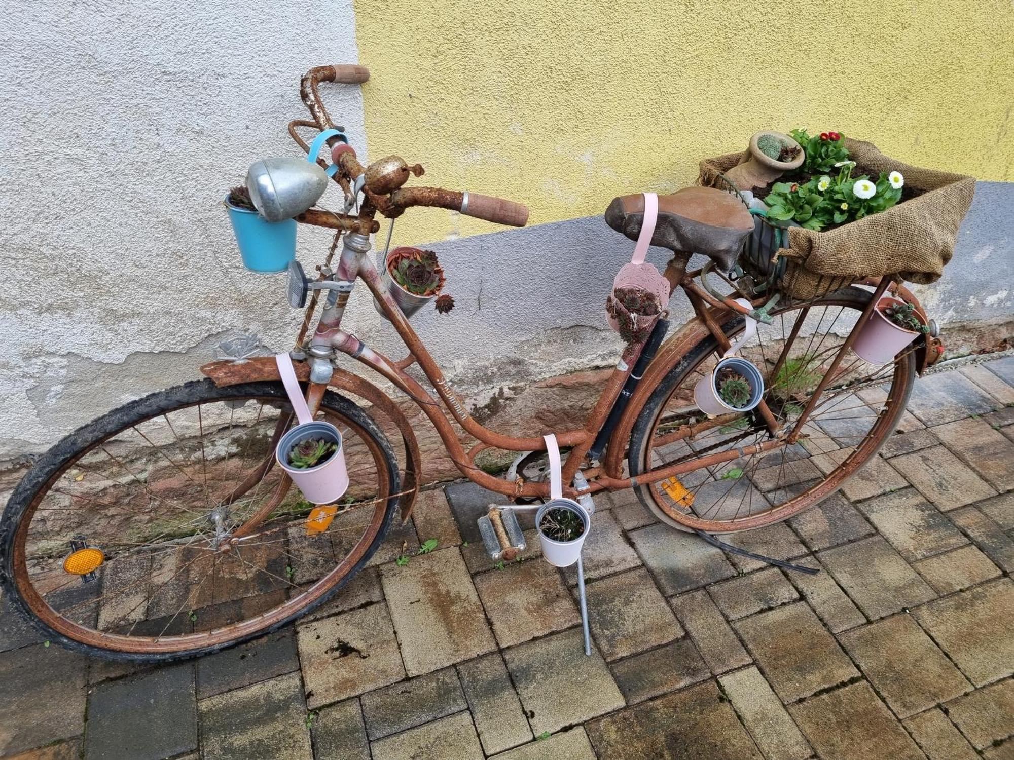 Villa Haus Ziegenblick Herbolzheim Esterno foto